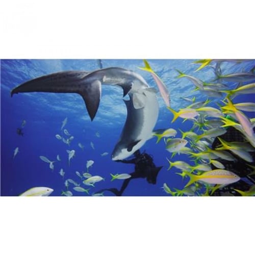 قوبرو غلاف الواقي هيرو9 / هيرو10 / هيرو11 / هيرو12...