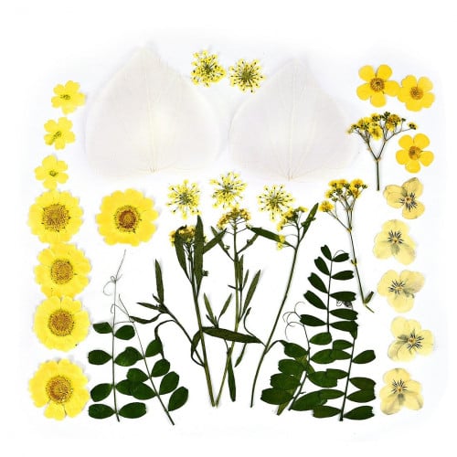 ورد مجفف مجموعة لون أصفر رقم 11