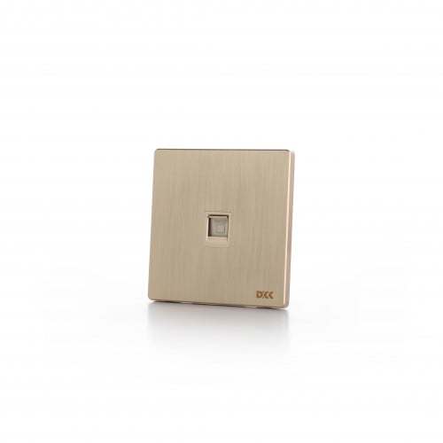 فيش كمبيوتر مفرد