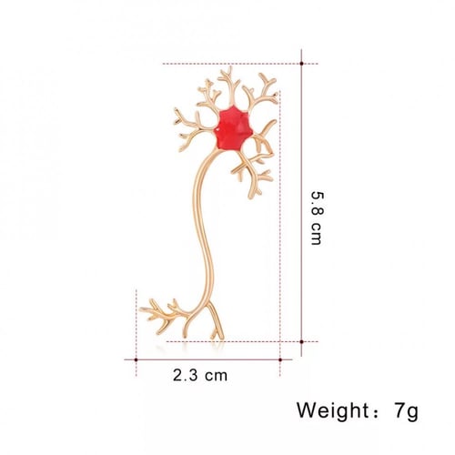 بروش الجهاز العصبي