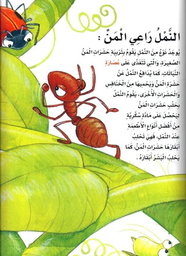 اكتشف عالم النمل