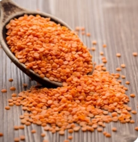 عدس احمر هندي