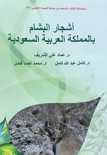 أشجار البشام بالمملكة العربية السعودية