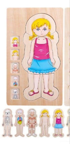 بازل أجهزة الجسم