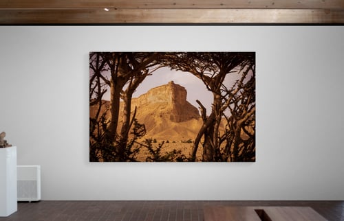 لوحة جبال طويق مع شجرة الطلح - لوحة طبيعة وتعكس ال...