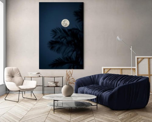 ️ لوحة هدوء القمر الفاتنة | سكون ليلي بظلال النخيل