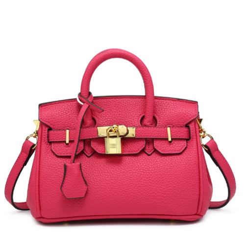 Birken Bag fushi ميني بيركن ( فوشي)