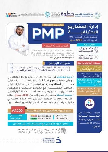 Professional project management
