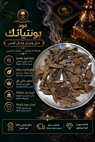 عود بونتيانك دبل وتربل ودبل فيس
