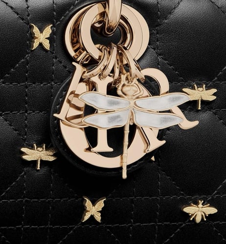 شنطه صغيره من دي جوي من ديور