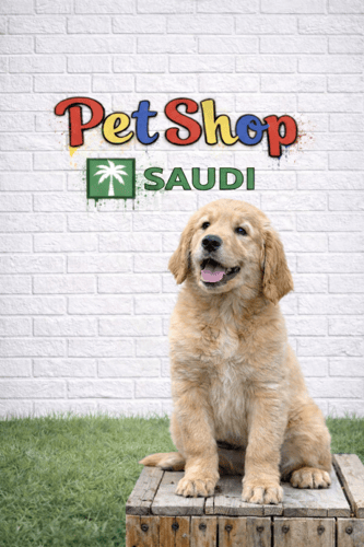 جرو قولدن ريتريفر المعروف بإسم كلب العائلة عمر ثلا...