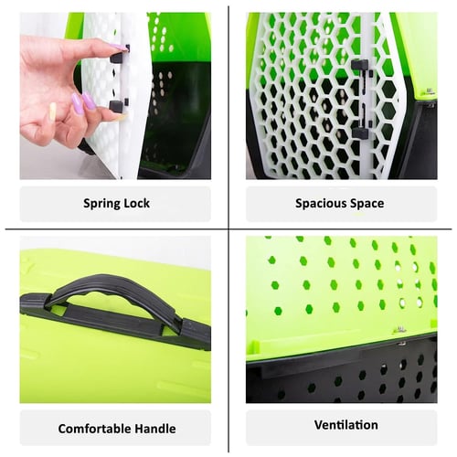 حمالة للقطط