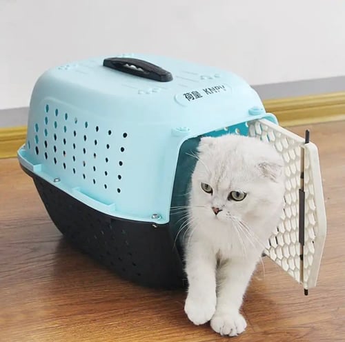 حمالة للقطط