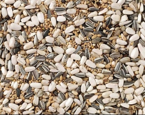 علف كروان - روز -روزيلا - ديلي ناتشر Deli Nature