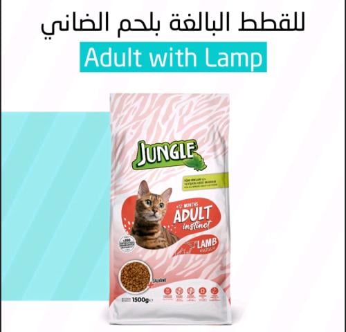 اكل قطط لحم الضأن من جنغل طعام صحي للقطط البالغة غ...