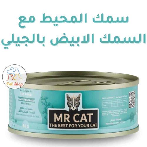 أكل قطط مستر كات رطب سمك المحيط مع السمك الأبيض با...