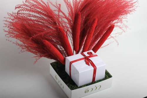 بوكس جذرة الأحمر من دون ساعة كارتير