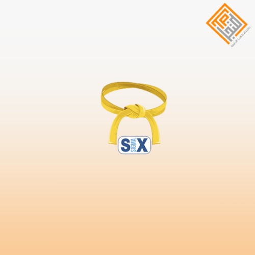 الرخصة المهنية رياضيات 2 ( المعيار من 1 إلى 6)