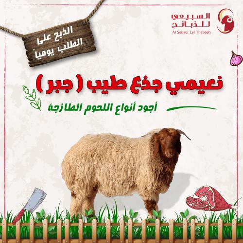 نعيمي جذع طيب (جبر)