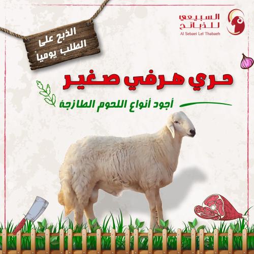 حري هرفي صغير