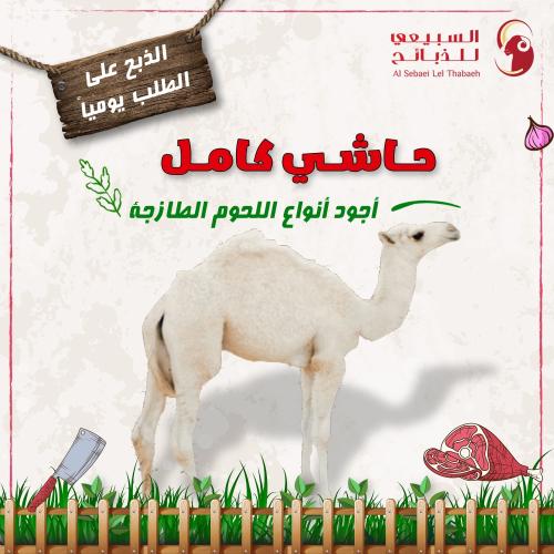 حاشـي كامـل