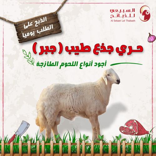 حري جذع طيب ( جبر )