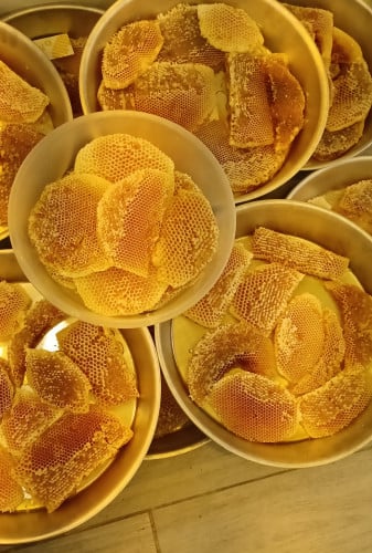 عسل شمع سدر بلدي صحن كبير وزن 2 كيلو ونص