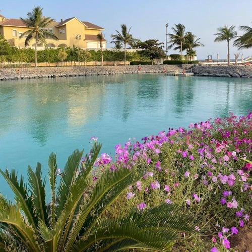( April 17,2025 الخميس Thursdays )