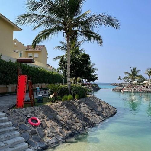 ( June 26,2024 الاربعاءWednesday )