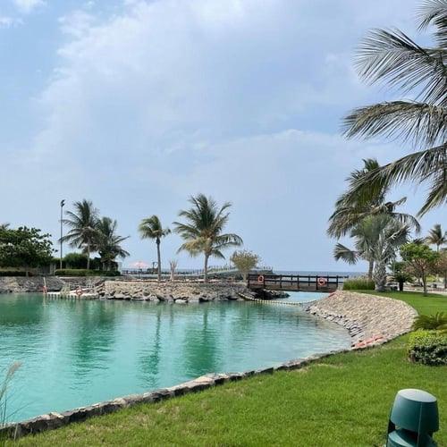 ( August 15, 2025 الجمعة Friday )