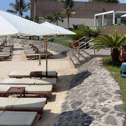 ( September 22,2024 الأحد Sunday )