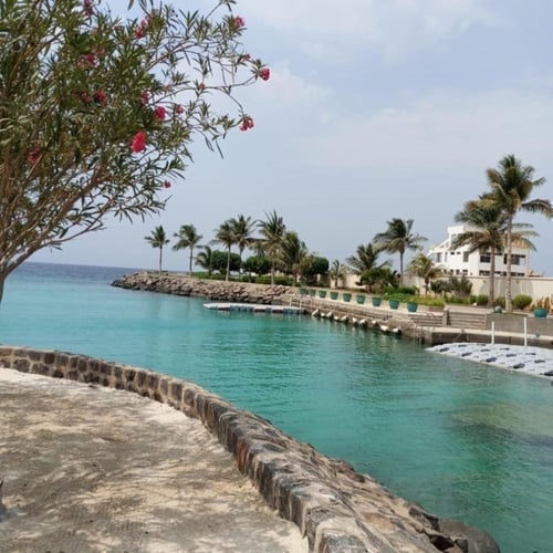 ( May 17,2025 السبت Saturday )