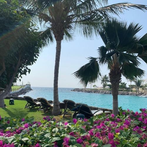 ( August 3,2024 السبت Saturday )