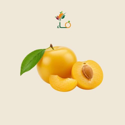 بخارى صفراء