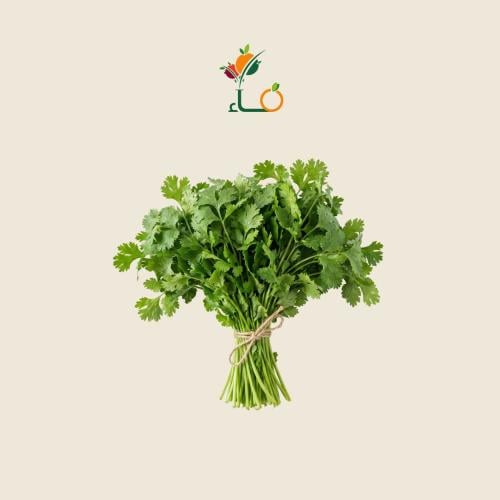 بقدونس عضوي طازج