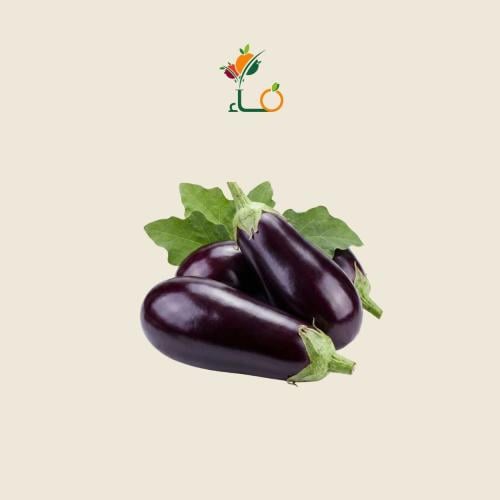 باذنجان عضوي