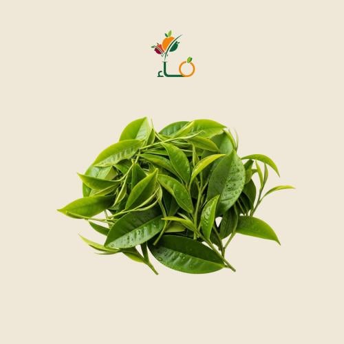 شاي اخضر عضوي طازج