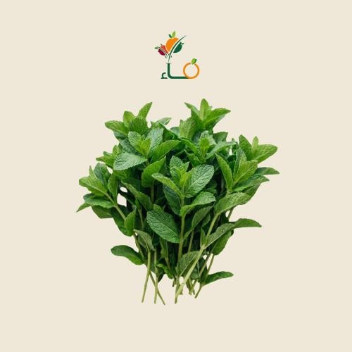 نعناع عضوي طازج