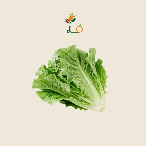 خس طازج عضوي