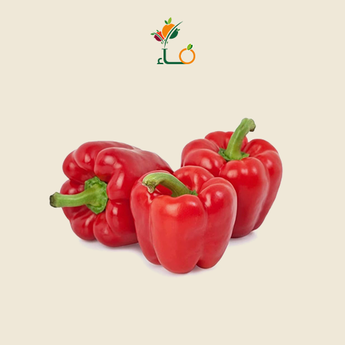 فلل رومي احمر صحن صغير