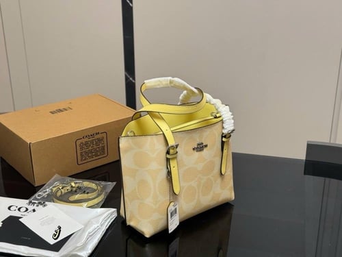 coach Tote bag