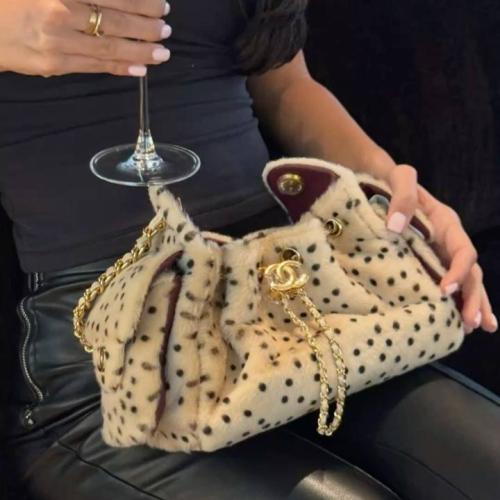 CHANEL 25 MINI HANDBAG