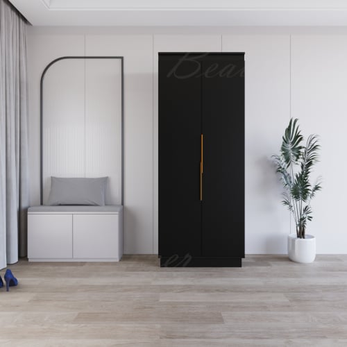 دولاب عبايات اسود -موديل Luxury