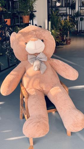 Big bear