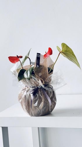 انتريوم احمر