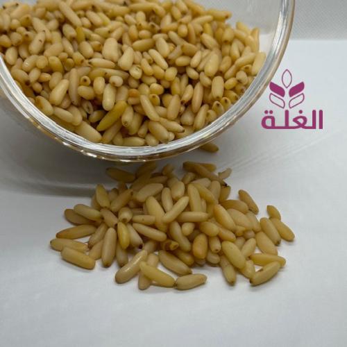 صنوبر باكستاني