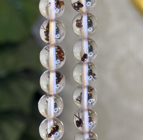 البكج المحشّر