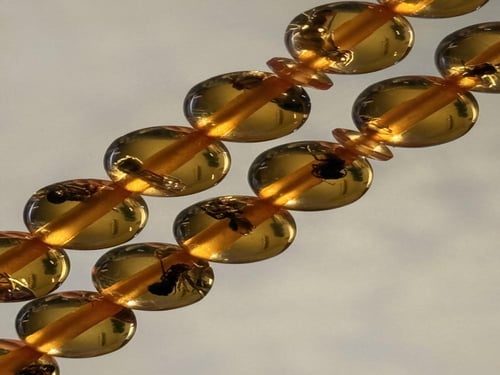 البكج المحشّر