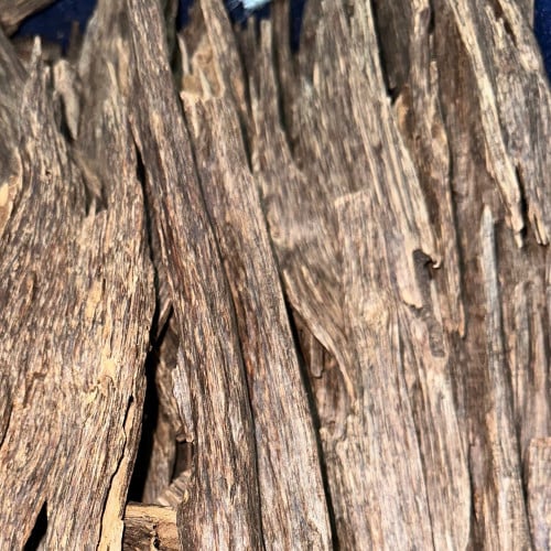 عود هندي اسام