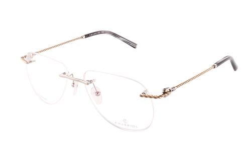 نظارة شاريول-71044 C02